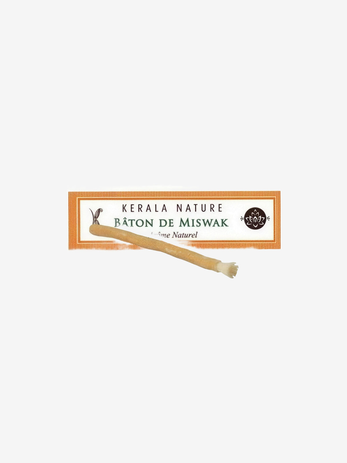 Bâton Miswak 15 cm Kerala - Herboristerie de Paris