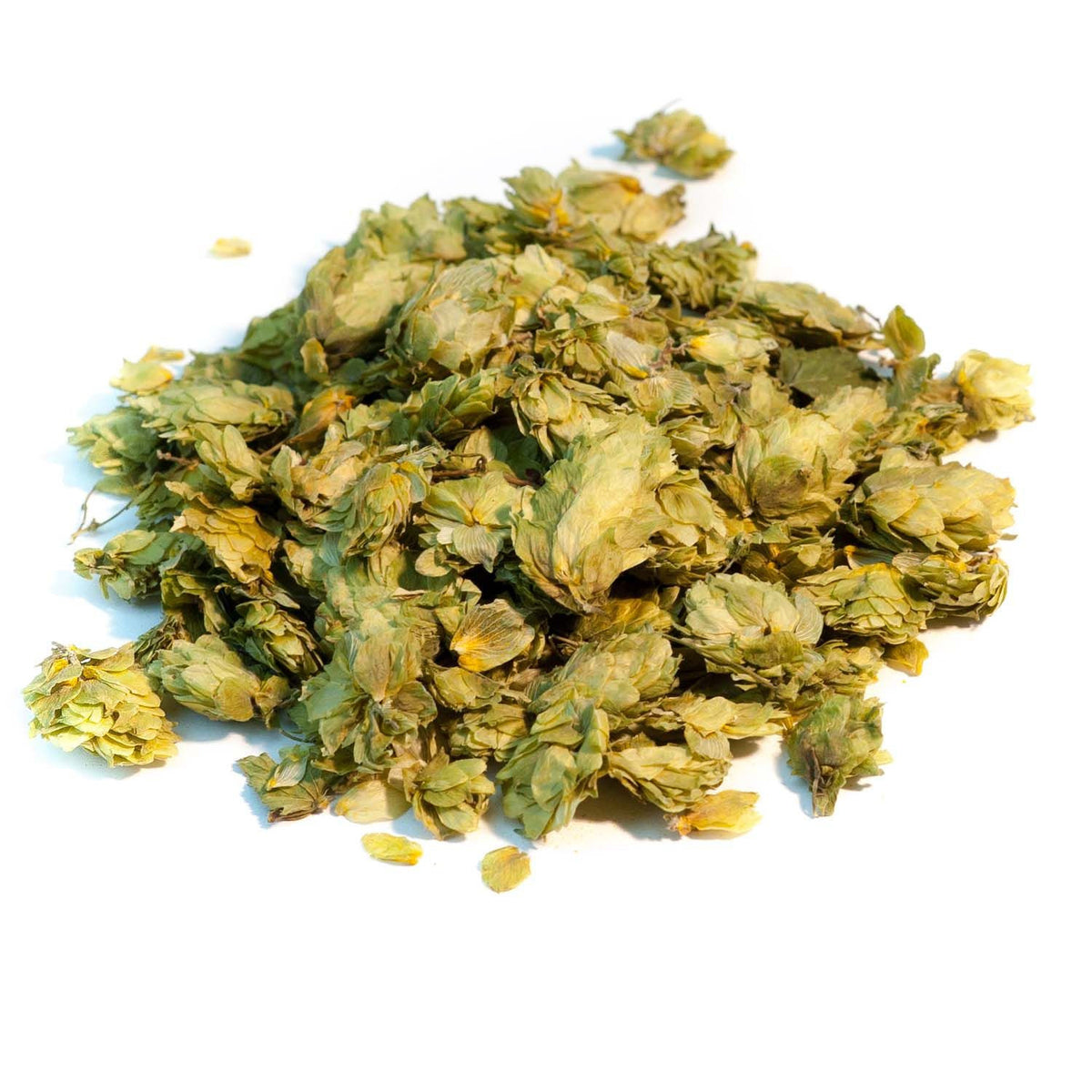 Houblon cônes coupés BIO 100g Herboristerie de Paris - Herboristerie de Paris