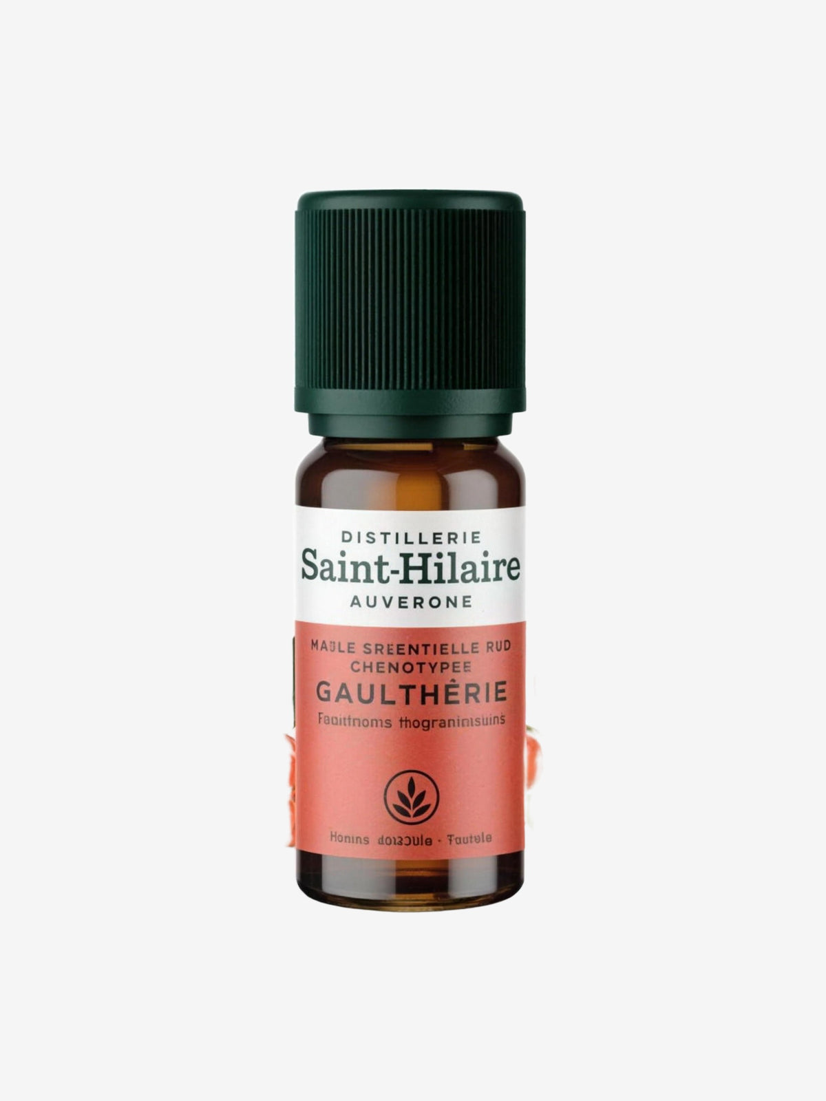 Huile essentielle Gaulthérie bio 10ml Distillerie Saint Hilaire - Herboristerie de Paris