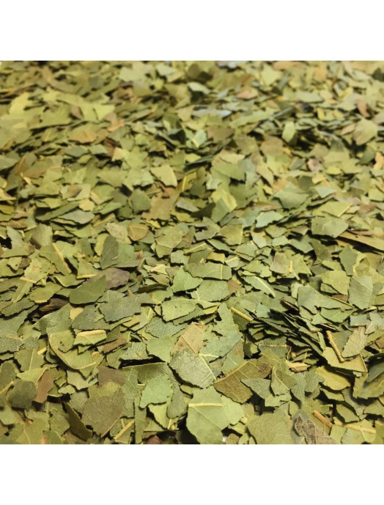 Laurier Sauce Feuille Coupée Bio 100g Herboristerie de Paris - Herboristerie de Paris