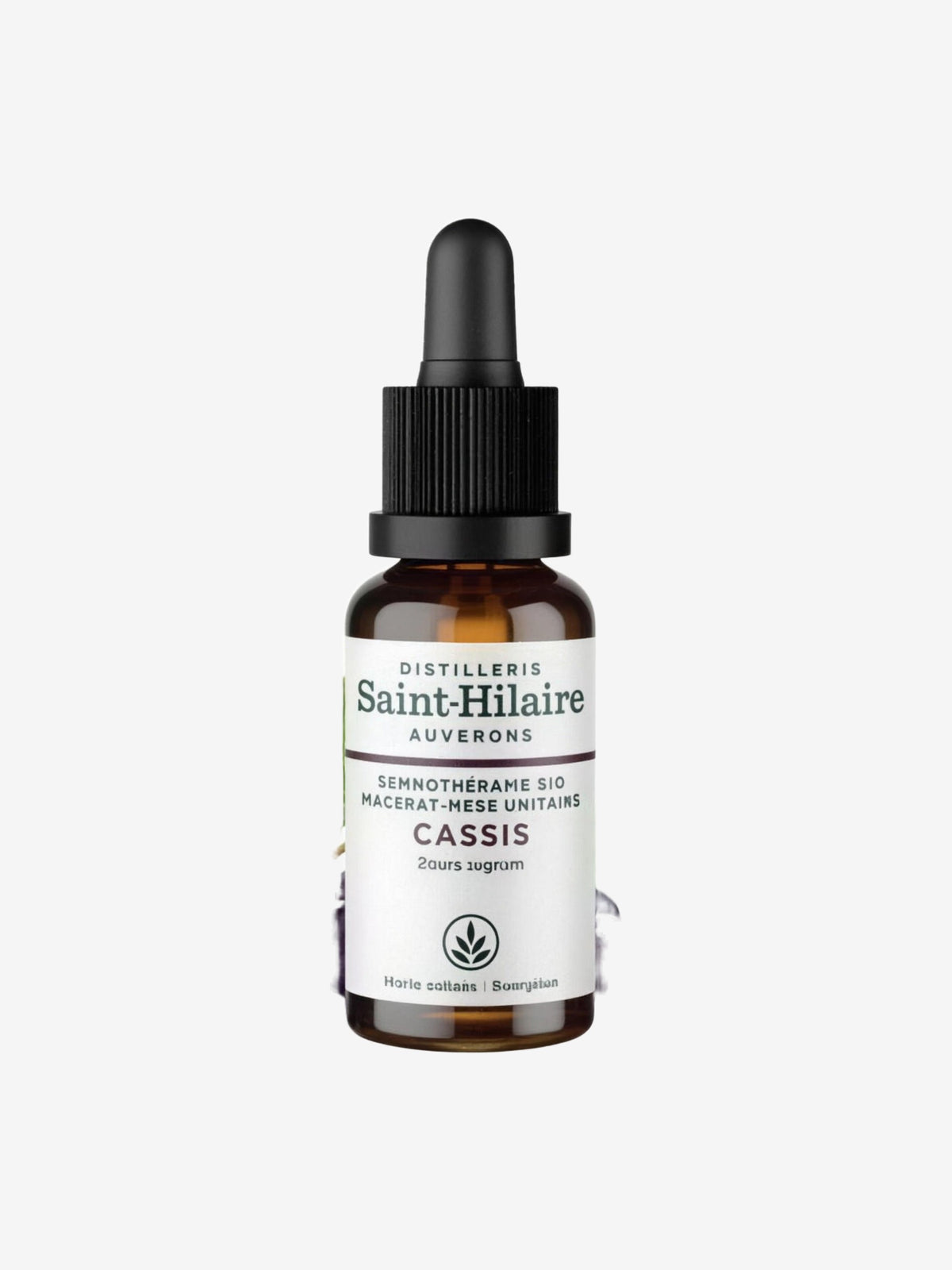 Macérat de bourgeons de Cassis bio 30ml Distillerie Saint Hilaire - Herboristerie de Paris