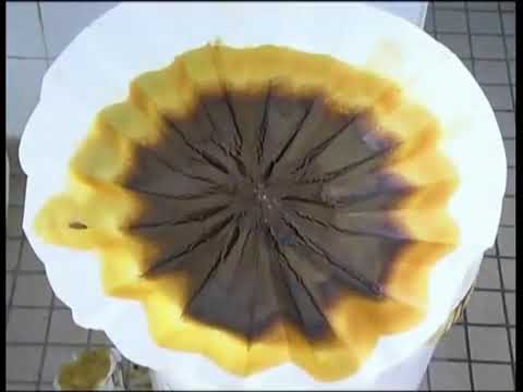 Extrait de Propolis Noire française 100% flacon gouttes 15ml Ballot Flurin