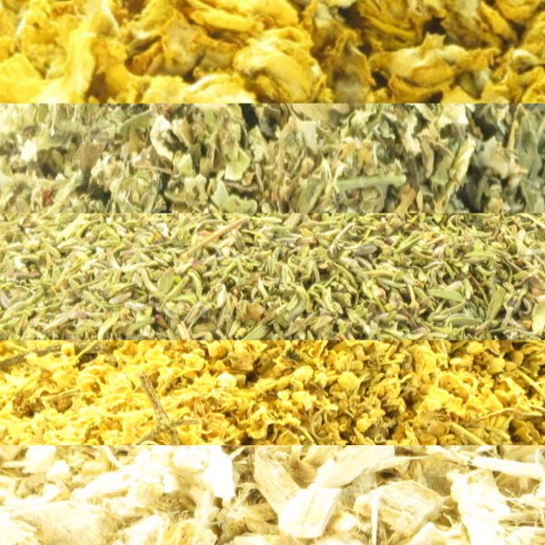 Tisane Aphone Cordes vocales 100gr Herboristerie de Paris - Herboristerie de Paris