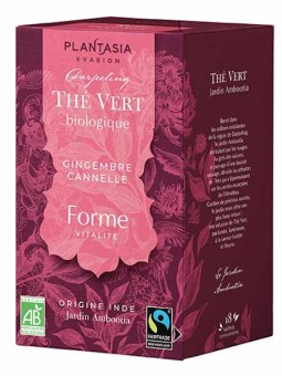 Thé vert Forme Gingembre Cannelle 18 sachets 32.4g Plant Asia Herboristerie de Paris