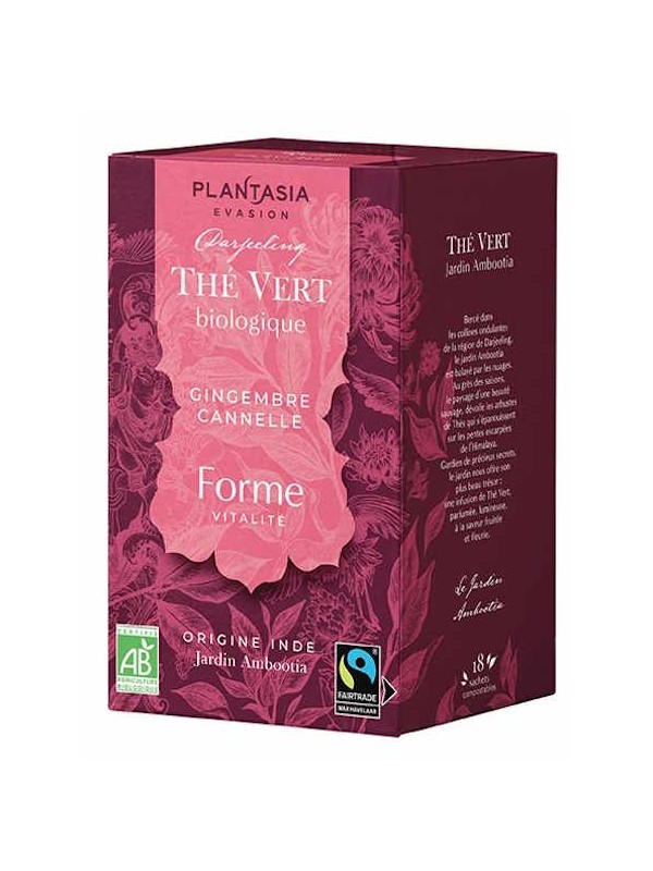 Thé vert Forme Gingembre Cannelle 18 sachets 32.4g Plant Asia Herboristerie de Paris