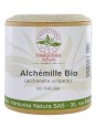 Alchémille bio 90 gélules Herboristerie de Paris alchemilla vulgaris femme ménopause cycle menstruel