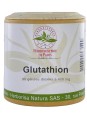 L Glutathion réduit 90 gélules Herboristerie de Paris Le sélénium aide à protéger les cellules contre le stress oxydatif