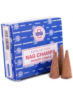 Nag Champa Encens en cône 10 pièces Herboristerie De Paris spiritualité yoga et plénitude