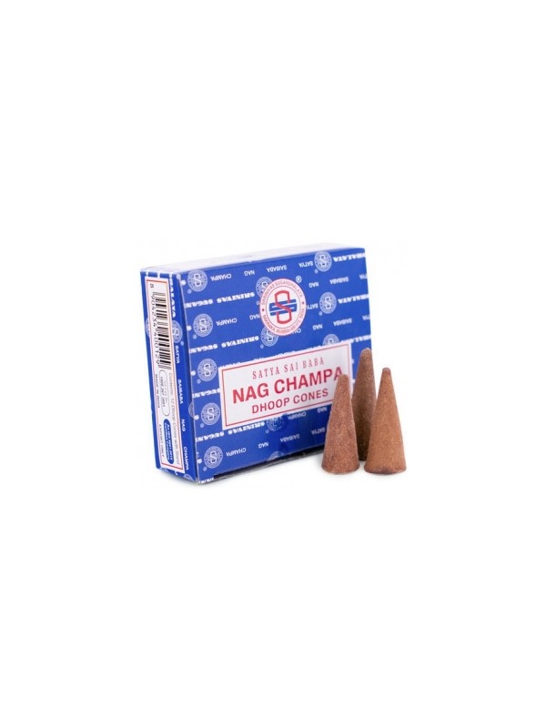 Nag Champa Encens en cône 10 pièces Herboristerie De Paris spiritualité yoga et plénitude