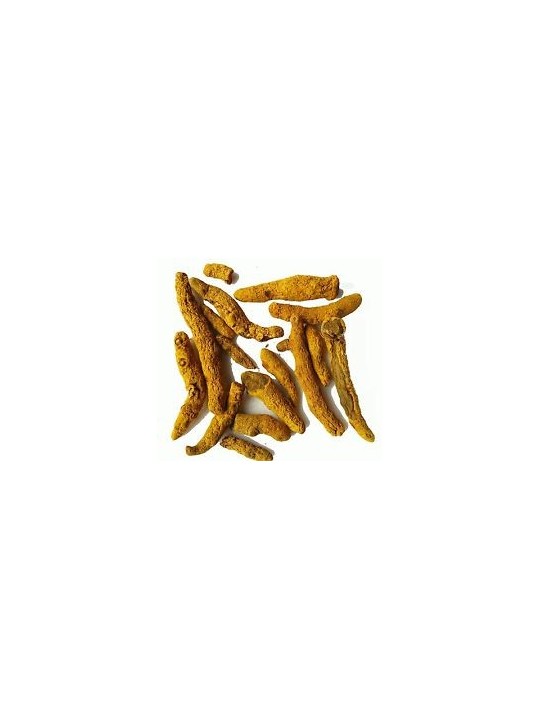 Curcuma Madras Rhizome bio 100 gr Herboristerie de Paris foie articulations