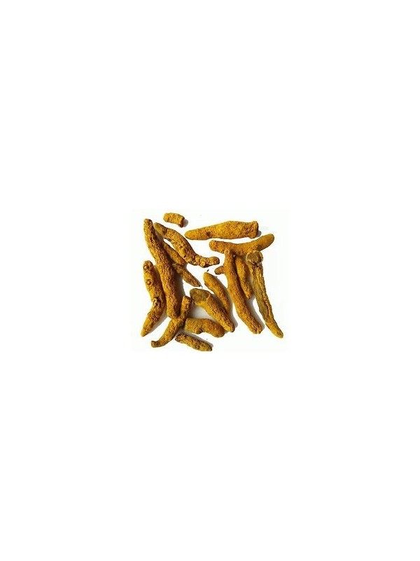 Curcuma Madras Rhizome bio 100 gr Herboristerie de Paris foie articulations
