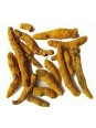 Curcuma Madras Rhizome bio 100 gr Herboristerie de Paris foie articulations