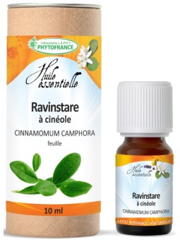 Ravintsare Feuille Sauvage Bio 10 ml Phytofrance huile essentielle respiration Herboristerie de paris ravintsara