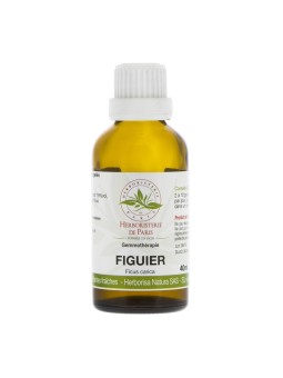Figuier macérat de Bourgeons bio 40ml Herboristerie de Paris gemmothérapie extrait de bourgeons bio