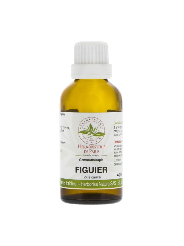 Figuier macérat de Bourgeons bio 40ml Herboristerie de Paris gemmothérapie extrait de bourgeons bio