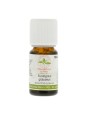 Huile essentielle Eucalyptus globulus Bio 10ml Herboristerie de Paris santé respiratoire aromathérapie complément alimentaire