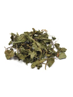 tisane Menthe Poivrée feuilles entières BIO 100g Herboristerie de Paris tisane vrac menthe poivrée infusion