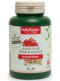 Levure de riz rouge et Gugulon 200 gélules Nat et Form cholestérol contrôlé Herboristerie de paris