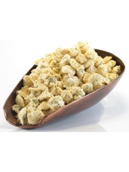 tisane Camomille Romaine capitule florale triée entière bio 50g Herboristerie de Paris vrac pour infusion sommeil