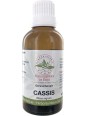 Gemmo Cassis 40ml Herboristerie de Paris macérat de bourgeons de cassis bio drainage des fluides de l'organisme
