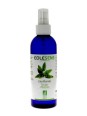 Eau Florale Sauge Officinale bio 200ml Eolesens Herboristerie de Paris