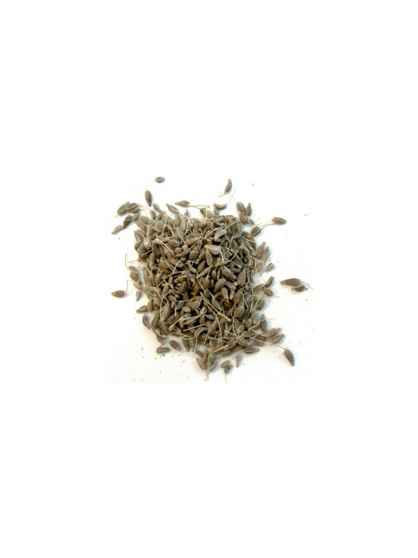 tisane Anis vert Fruit BIO 100g Herboristerie de Paris digestion anti ballonnement
