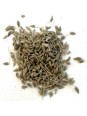 tisane Anis vert Fruit BIO 100g Herboristerie de Paris digestion anti ballonnement