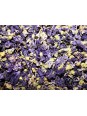 Tisane Mauve Fleur du Nord 100 gr Herboristerie de Paris fleurs de mauve du Nord