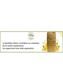 Tisane Bouillon blanc 100 gr Herboristerie de Paris - vrac pour tisane fleur respiratoire pectorale