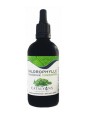 Chlorophylle Magnésienne concentrée liquide 100ml Catalyons detoxification Herboristerie de paris