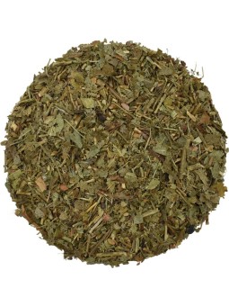 Myrtille Feuille coupée BIO 100g Herboristerie de Paris glycémie digestion