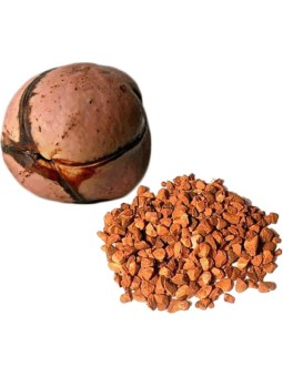 KOLATIER GRAINE DITE NOIX coupée 100G HERBORISTERIE DE PARIS vitalité tonus anti fatigue