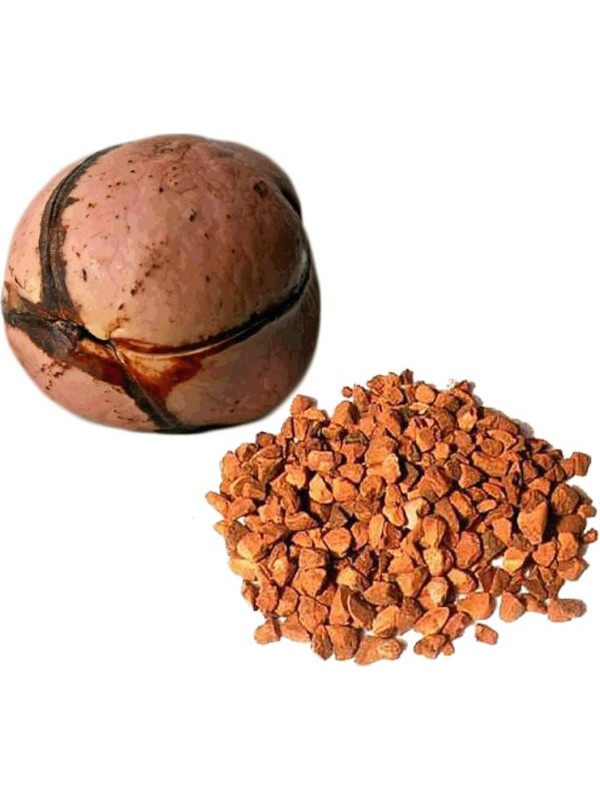 KOLATIER GRAINE DITE NOIX coupée 100G HERBORISTERIE DE PARIS vitalité tonus anti fatigue