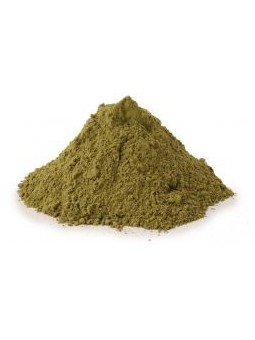 Ortie piquante Feuille Poudre Bio 100g Herboristerie de Paris urinaire articulations vitalité
