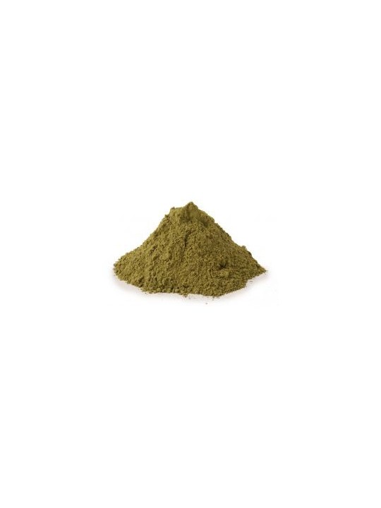 Ortie piquante Feuille Poudre Bio 100g Herboristerie de Paris urinaire articulations vitalité
