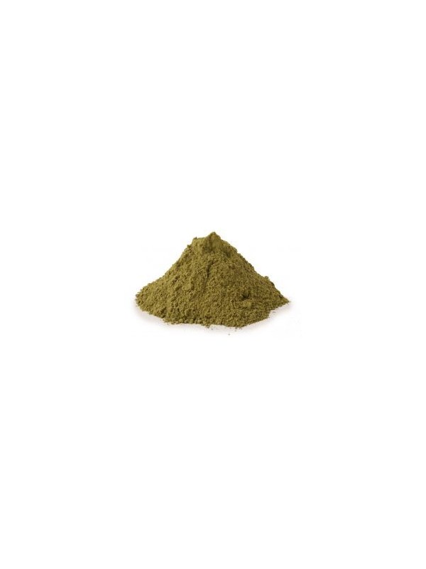 Ortie piquante Feuille Poudre Bio 100g Herboristerie de Paris urinaire articulations vitalité