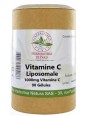Vitamine C liposomale 90 gélules Herboristerie De Paris acide ascorbique antifatigue