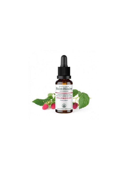 Macérat de Jeunes pousses de Framboisier bio 30ml Distillerie Saint Hilaire Herboristerie de Paris
