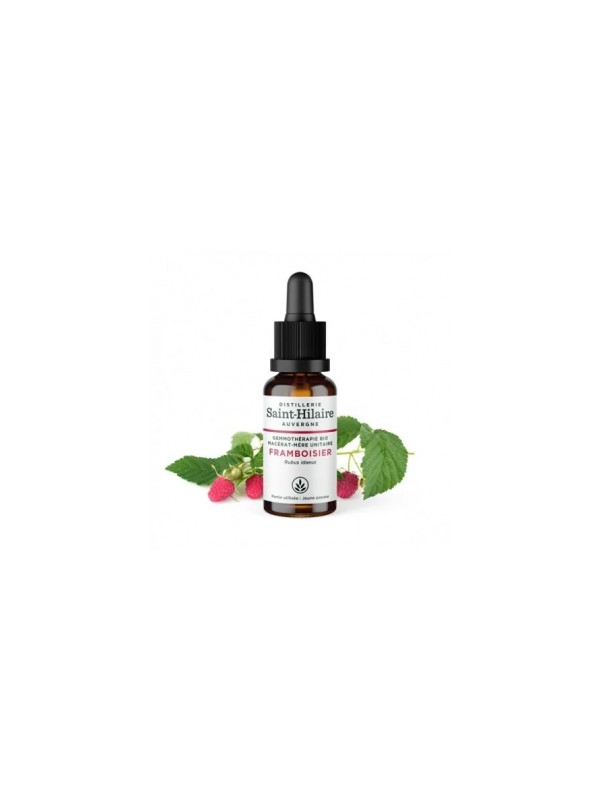 Macérat de Jeunes pousses de Framboisier bio 30ml Distillerie Saint Hilaire Herboristerie de Paris