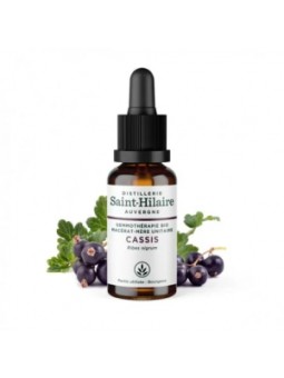 Macérat de bourgeons de Cassis bio 30ml Distillerie Saint Hilaire Herboristerie de Paris