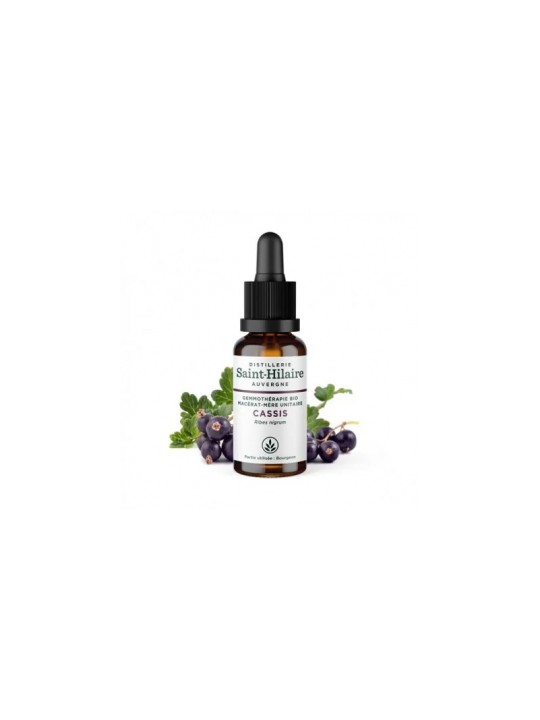 Macérat de bourgeons de Cassis bio 30ml Distillerie Saint Hilaire Herboristerie de Paris