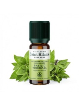 Huile essentielle Basilic Tropical bio 10ml Distillerie Saint Hilaire Herboristerie de Paris