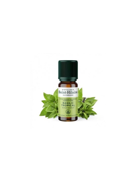 Huile essentielle Basilic Tropical bio 10ml Distillerie Saint Hilaire Herboristerie de Paris