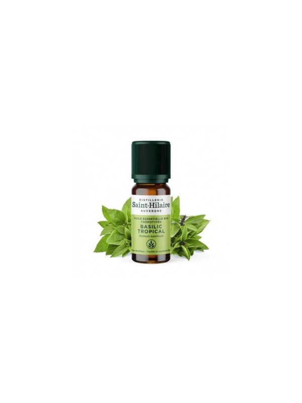 Huile essentielle Basilic Tropical bio 10ml Distillerie Saint Hilaire Herboristerie de Paris