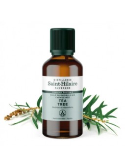 Huile essentielle Tea Tree bio 50ml Distillerie Saint Hilaire Herboristerie de Paris
