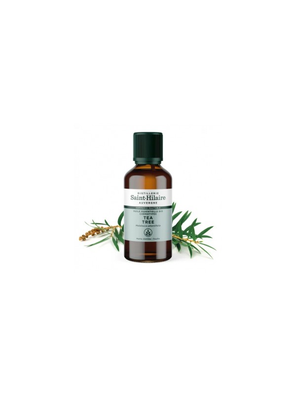 Huile essentielle Tea Tree bio 50ml Distillerie Saint Hilaire Herboristerie de Paris