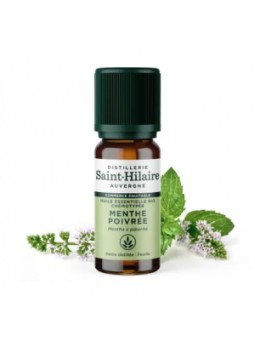 Huile essentielle Menthe poivrée bio 10ml Distillerie Saint Hilaire Herboristerie de Paris