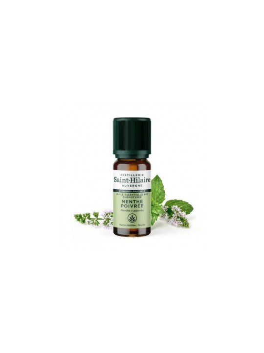Huile essentielle Menthe poivrée bio 10ml Distillerie Saint Hilaire Herboristerie de Paris