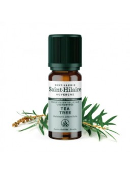Huile essentielle Tea Tree bio 10ml Distillerie Saint Hilaire Herboristerie de Paris