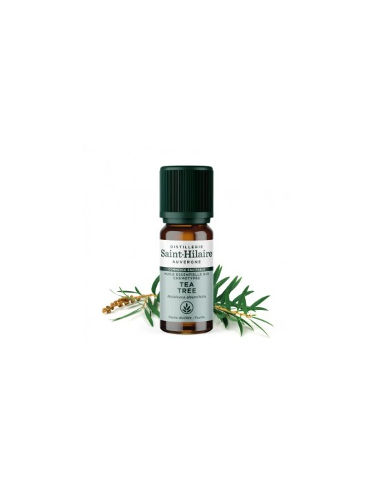 Huile essentielle Tea Tree bio 10ml Distillerie Saint Hilaire Herboristerie de Paris